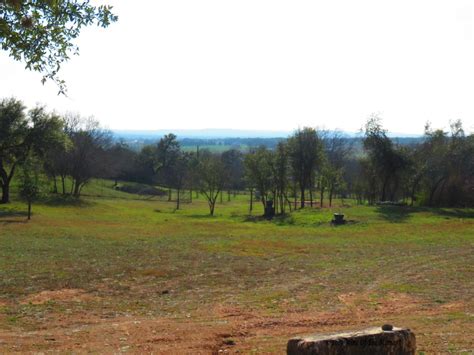 Texas Heritage Vineyard Fredericksburg Texas Wine Of The Moment