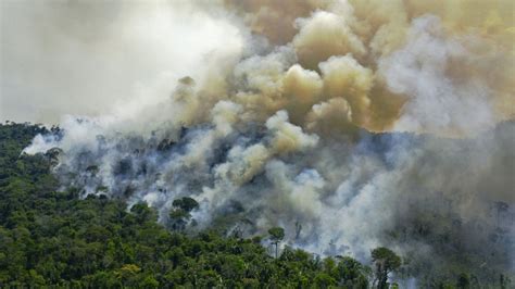 La Deforestaci N De La Amazonia Brasile A Alcanza Un Nuevo R Cord