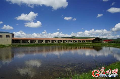 我们的家园丨文旅融合牧旅融合，“贫困村”变身“网红村” 光明网