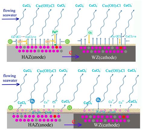 Metals Free Full Text Characterization Of Corrosion Behavior And