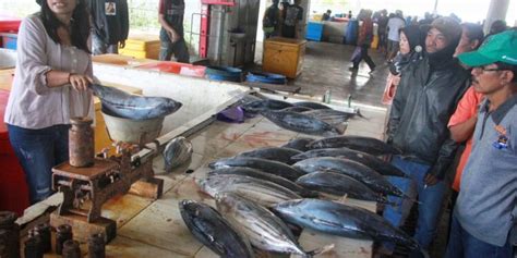 Foto Tempat Pelelangan Ikan Sendang Biru Tugumalang Id