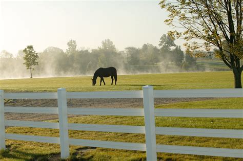 5 Ways to Improve Your Pasture | Your Horse Farm