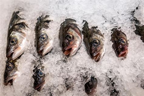 Pescado Refrigerado En Hielo En El Supermercado Foto Premium