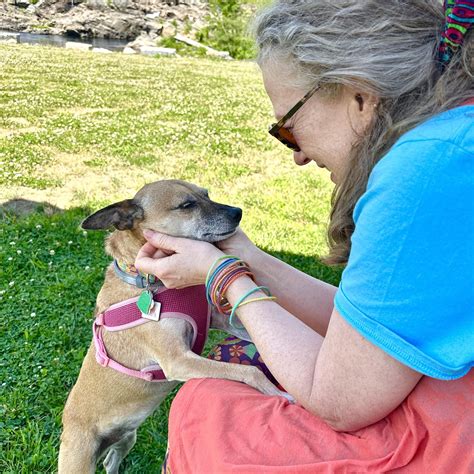 Molly's Apothecary - So, Joseph Matiyosus has worked his special brand