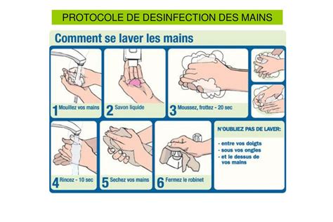 Protocole De Lavage Des Mains En Restauration Meteor