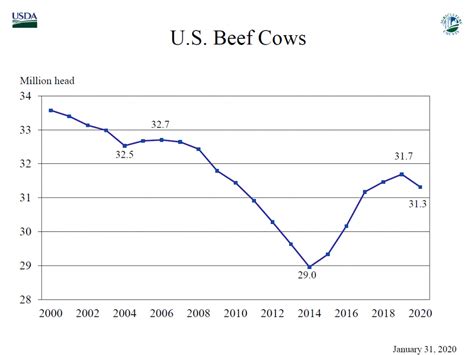 Cyclical Cattle Herd Expansion Over But Record Beef Production