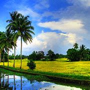 Lakshadweep Beach,Lakshadweep Beach in India,Lakshadweep Beaches ...