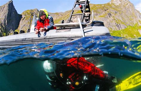 Découvrez la plongée sous marine dans l océan Arctique depuis Ballstad