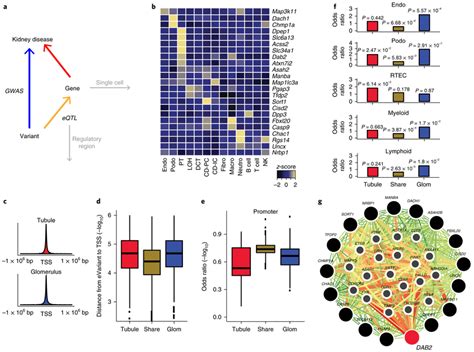 Compartment Specific Eqtls Show Greater Cell Type Specificity And