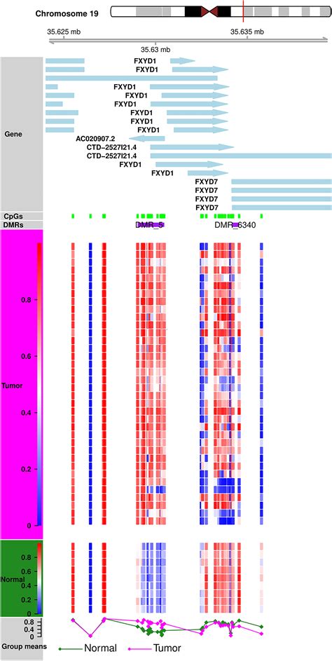 Frontiers Identification Of Prognostic Markers In Cholangiocarcinoma