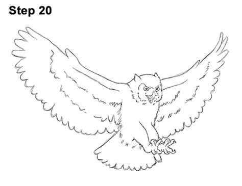 How To Draw An Owl Great Horned Flying