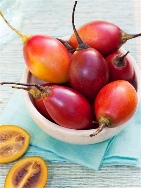 Tree Tomato Tamarillo Cyphomandra Betacea Urban Perennials