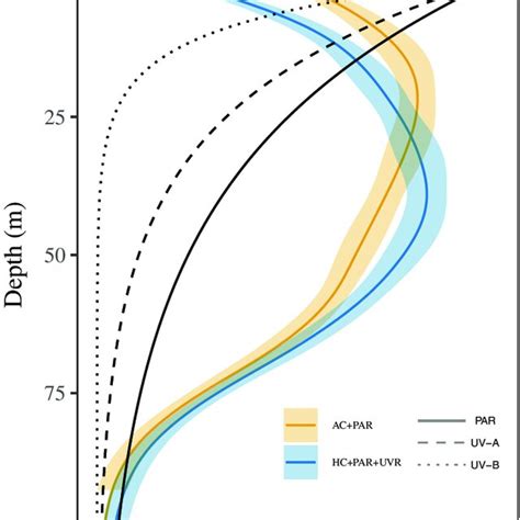 Simulated Depth Profiles Of Transmitted Irradiances And N 2 Fixation By