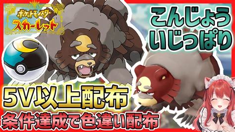 【ポケモンsv】ラストワン色ガチグマ＆条件達成で色違い配布！5v～6v ムンボガチグマ 性格いじっぱり 特性こんじょう タマゴ技遺伝済