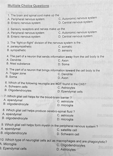 Solved Multiple Choice Questions 1 The Brain And Spinal Cord Make Up