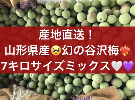 【匿名発送】山形県産 幻の谷沢梅 無農薬 7キロ サイズミックス 梅ジュース By メルカリ