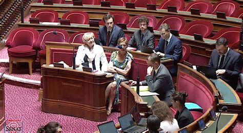 Le Sénat Adopte Le Projet De Loi Pour Le Plein Emploi Aefinfo