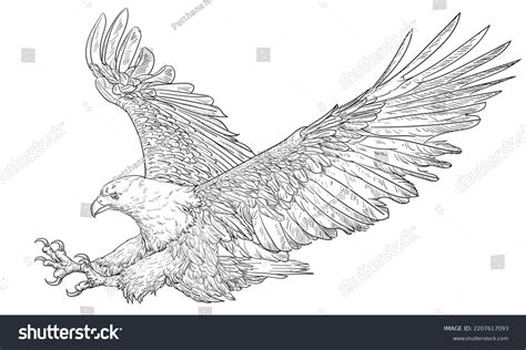 Angry Eagle Drawing: Over 1,658 Royalty-Free Licensable Stock ...