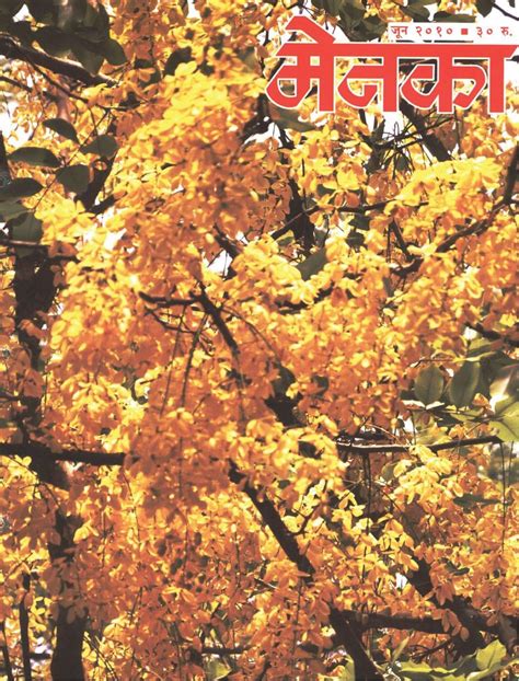 Menaka Marathi June 2010 Digital DiscountMags