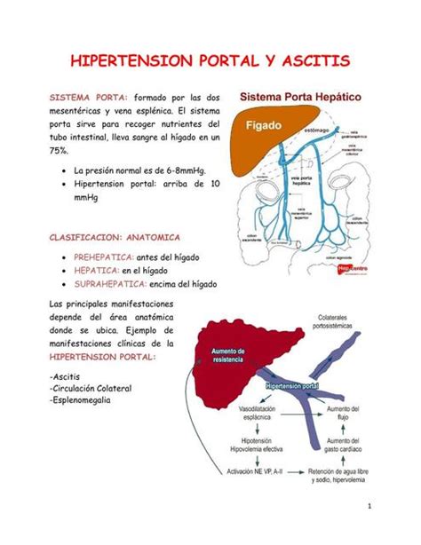 Hipertensión Portal y Ascitis medicina eli uDocz