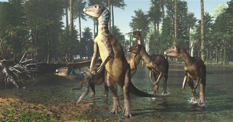 Australia Scoperta Una Nuova Specie Di Dinosauro Chiamata