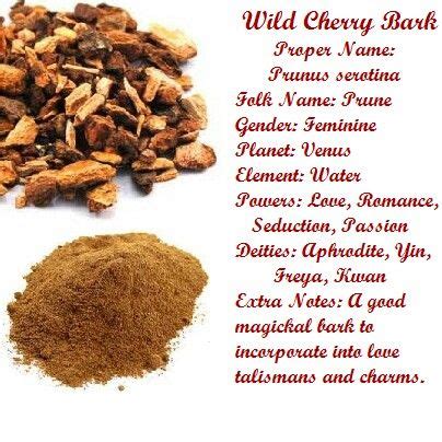 Wild Cherry Bark Cherry Bark Magic Herbs Magical Herbs