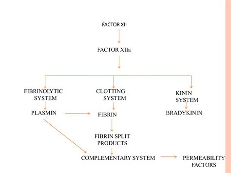 Chemical Mediators Of Inflammation PPT