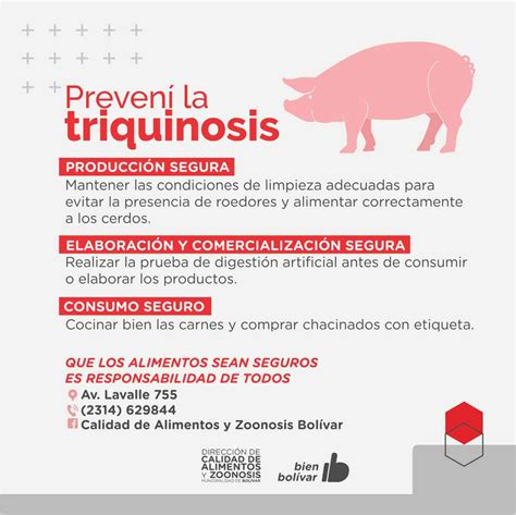 La Municipalidad Brinda Recomendaciones Para Prevenir La Triquinosis