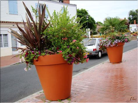 Gros Pot De Fleur Pour Une D Coration De Jardin Moderne