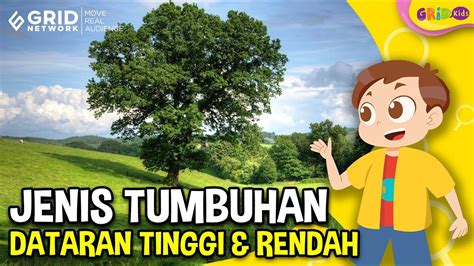 Mengenal Jenis Jenis Tumbuhan Dataran Tinggi Dan Rendah Materi