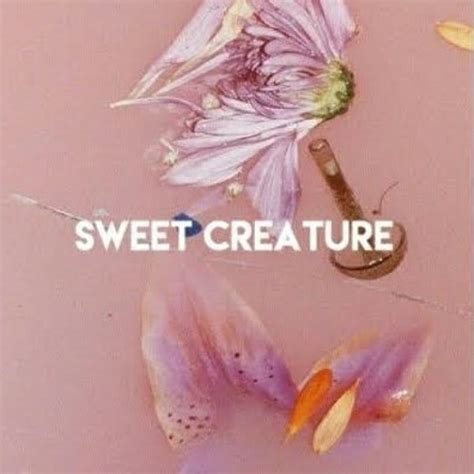 Stream Harry Styles Sweet Creature Cover By Sashia By