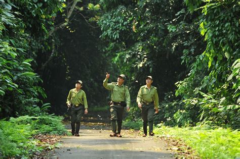 Cuc Phuong National Park Typical Model For Conservation In Vietnam