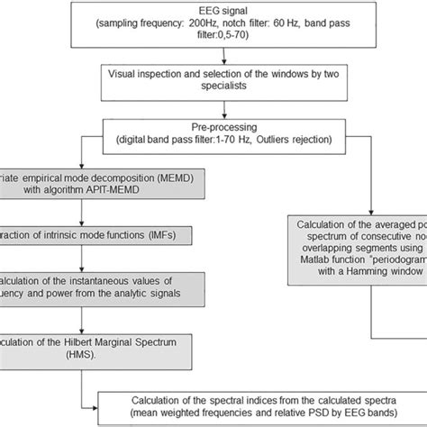 Block Diagram Of The Main Steps Of The Processing Of The Eeg Used In Download Scientific