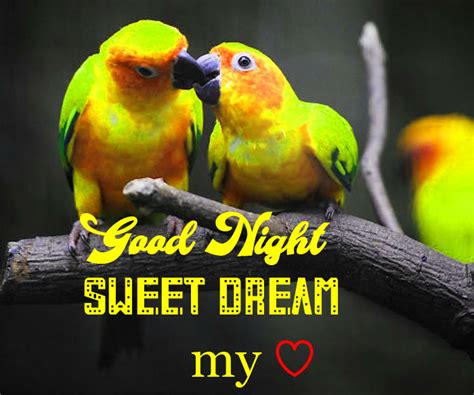 Pin On Good Night And Sweet Dreams My Love Images