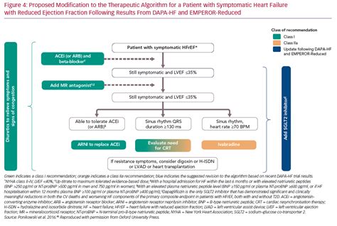 SGLT2 Inhibitors Heart Failure Guidelines