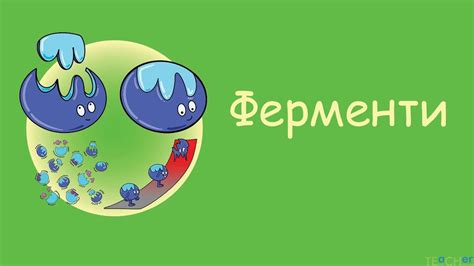 Ферменти - YouTube