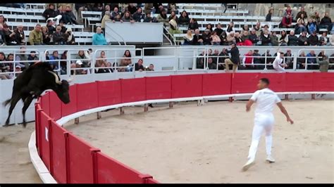 Arles 2024 Le taureau Corte de la manade de Méjanes YouTube