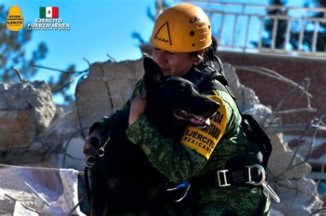 Ha salvato due persone ed è morto per sfinimento il cane da soccorso