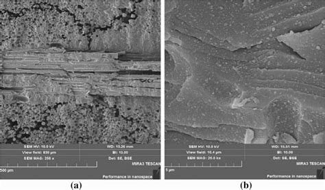 Scanning electron microscope images of the composite material ...