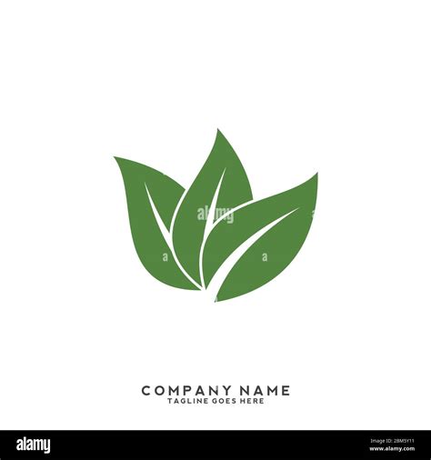 Eco Icon Green Leaf Vector Illustration Isolated Eco Icon Green Leaf