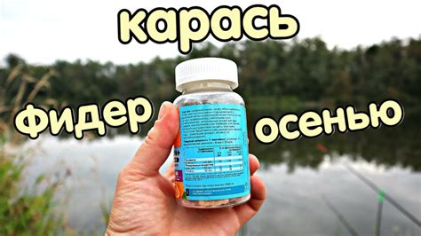 Новые секреты ловли карася на фидер осенью в сентябре октябре! Наловит ...