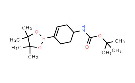 Tert Butyl Tetramethyl Dioxaborolan Yl Cyclohex