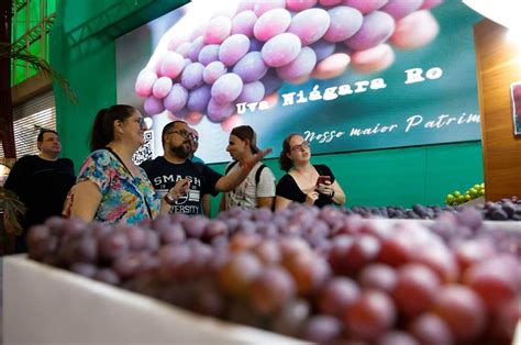 Festa Da Uva De Jundiaí Terá Diversas Ações De Sustentabilidade Em 2024