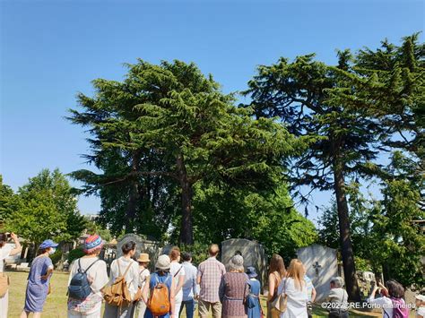 10 visitas que deram a conhecer o património do Porto FUTURO