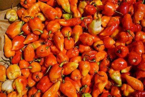 Susie’s Sauce Still Spicy At 60 Local Culinary Staple Marks Its Diamond Anniversary Antigua