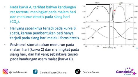 Pembahasan Soal Ksm Ma Biologi Tingkat Provinsi Youtube