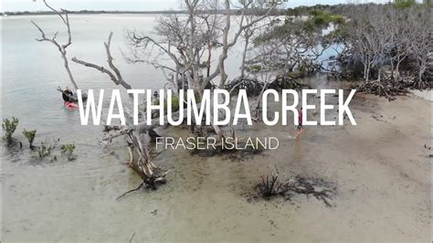 Wathumba Creek Fraser Island West Coast Perfection Youtube