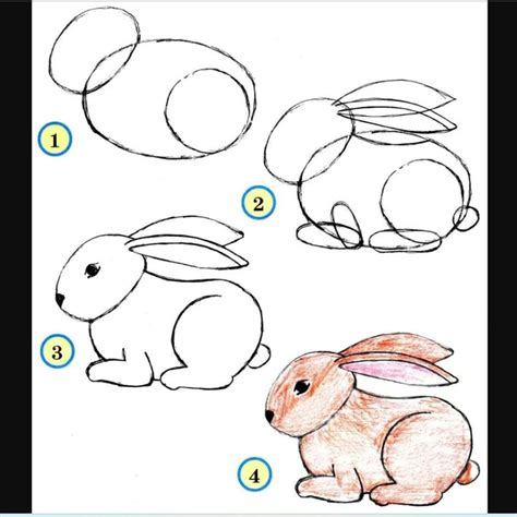 Cara Menggambar Makanan Yang Mudah
