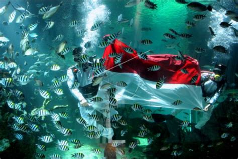 Pengibaran Bendera Di Bawah Air Tour De Bali