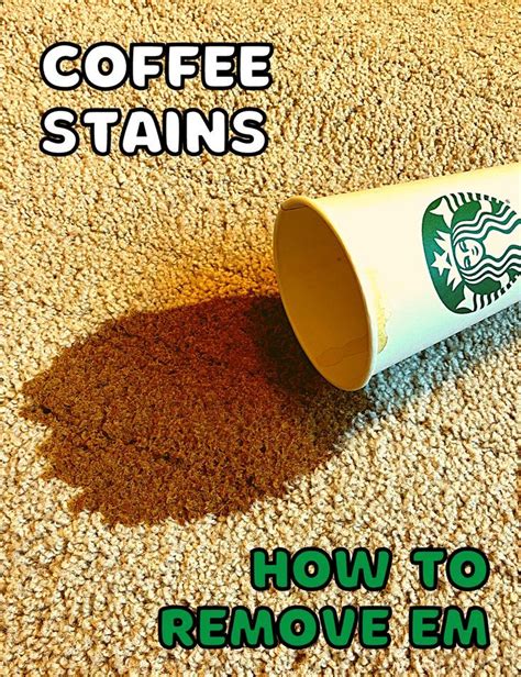 How To Remove Coffee Stains From Carpet Artofit